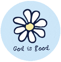 Jesus Christian Sticker by Elevated Faith