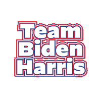 Voting Election 2020 Sticker by Joe Biden