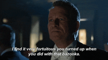 mad city fox GIF by Gotham