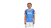 Football Soccer Sticker by Holstein Kiel