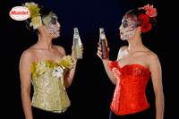 SidralMundet drink red green cheers GIF