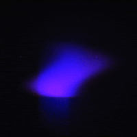 ghost gif artist GIF by Erica Anderson