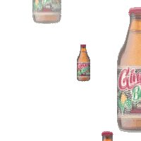 ginger beer Sticker by Supermalt