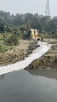 'Tired of Telling the Same Story': Delhi Reporter's Video Shows Toxic Foam Flowing Into Yamuna River