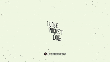 Loose pocket dog