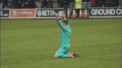 Hands Up Yes GIF by QPR FC