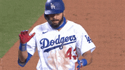 Regular Season Sport GIF by MLB