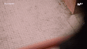 Skam Espana Hello GIF by Movistar+