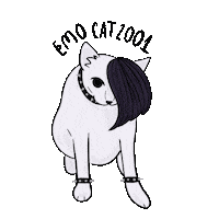 Cat Rock Sticker