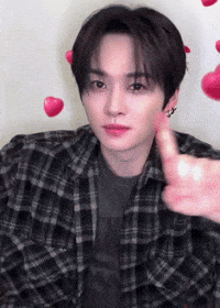 Stray Kids Skz GIF