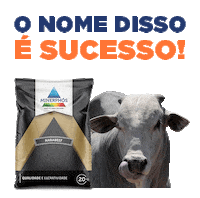 Minerphos tecnologia boi sucesso resultado Sticker