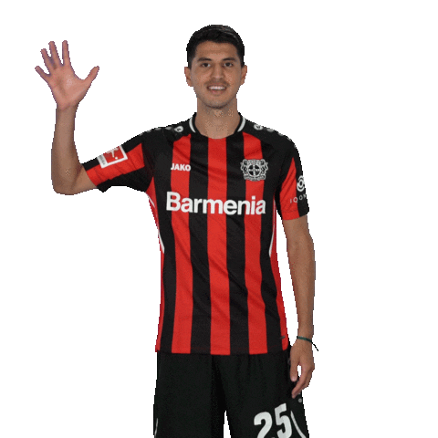 Good Morning Hello Sticker by Bayer 04 Leverkusen