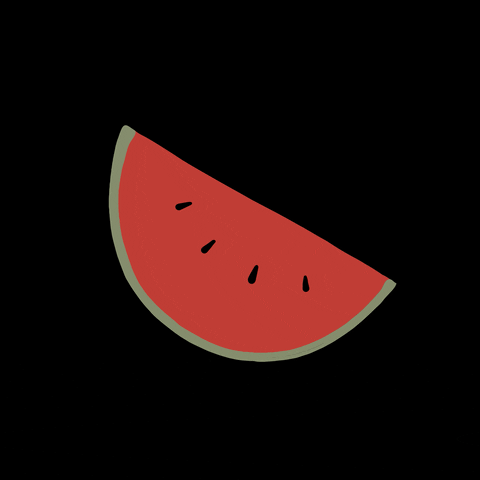 anjaslibar summer fruit watermelon anjaslibar GIF