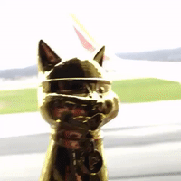 sxsw GIF by Product Hunt