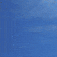 Phone Apeldoorn GIF by Centraal Beheer