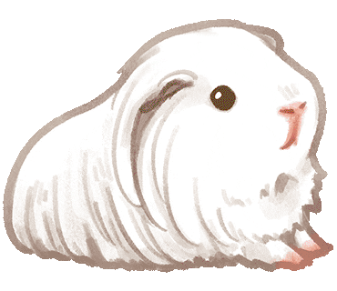 Guinea Pig Abby Sticker