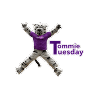 Stthomas Tommies Sticker by St. Thomas Alumni