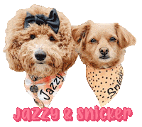 Dogs Snicker Sticker
