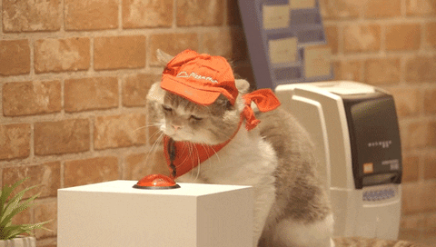 our-verse GIF