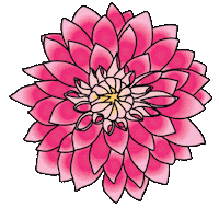 Pink Love Sticker by Aracelibeauty