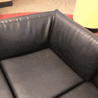 humor lol GIF by Lance Ford