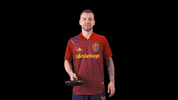 Major League Soccer Football GIF by realsaltlake