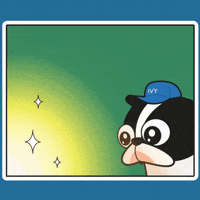 Boston Terrier GIF by BBRC Marketing