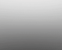 Cam GIF by Camjaysmith