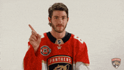 florida panthers hockey GIF