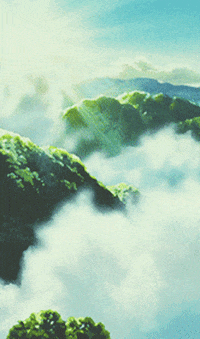 Into The Forest Of Fireflies Light Gif  IceGif