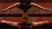 head the world&#39;s best GIF by CBS