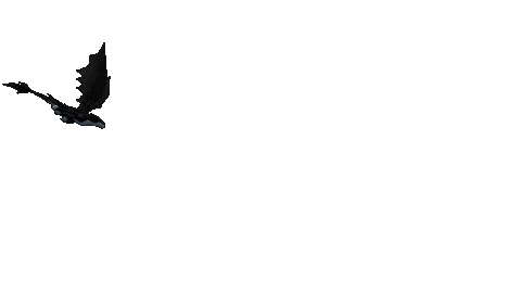 How To Train Your Dragon Dragons Sticker by DreamWorks Animation