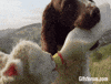 Dog Milk GIF