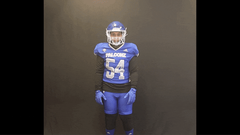 Dance Football GIF by utahfalconz