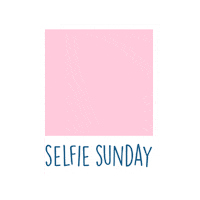 Palm Bay Sunday Sticker by Palm Bay Spritz