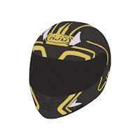 Cha Eun Woo Helmet Sticker