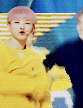 woozi GIF