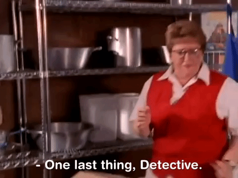 the mystery files of shelby woo nicksplat GIF