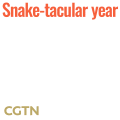 Happy New Year Lol Sticker by CGTN V-Studio