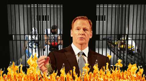 AccidentalArtist giphygifmaker roger goodell GIF