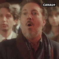 Fun Reaction GIF by CANAL+