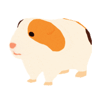 Guineapig Forester Sticker