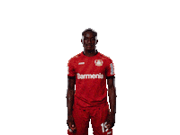 Bayer 04 Yes Sticker by Bayer 04 Leverkusen