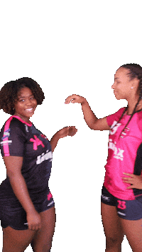 NLGHB louve noisyhb noisylegrandhb noisylegrandhandball Sticker