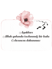 Mnks Dualı Sticker