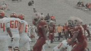 Team Ncaa GIF by Texas State Football