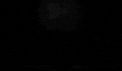 Assassins Creed Glee GIF by Xbox