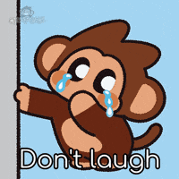 Monkey Laughing GIF by Chimpers