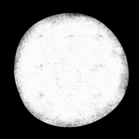 Nest Jafra Shape GIF by Jafra Productions