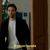 What Is Going On Here GIF by Burak Berkay